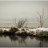 Тоска осенняя :: Василий Хорошев