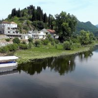 Черногория.На Скадарском озере. :: Елизавета Успенская