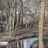 Начало :: Владимир Белов