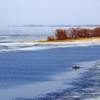 На открытой воде :: Алексей Дмитриев