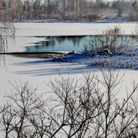 Весна в разгаре. :: Галина 