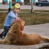 Ева и бездомный дворянин. :: Анатолий Сидоренков