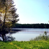 Нестеровское озеро весной :: Анастасия Володина