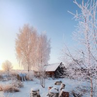 Вечером в деревне... :: Александр Никитинский