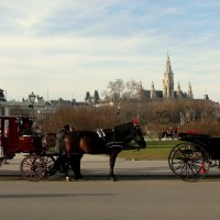 Вена. В ожидании путешественников... :: Maria 