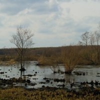 Весна. Разлив. :: Мария 