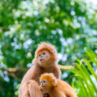 Mother and Son :: AnnJie Barc