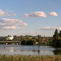 Летний день :: Ольга Винницкая (Olenka)