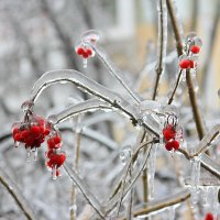 Ледяная сказка :: Таня 