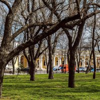 Весна в городе :: Константин Бобинский