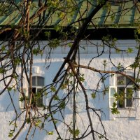 Монастырские окна :: anna borisova 