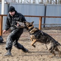тренировка -  защита :: Александр Агеев