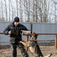 тренировка - защита :: Александр Агеев