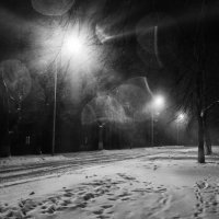 Winter Noir :: Артём Брав