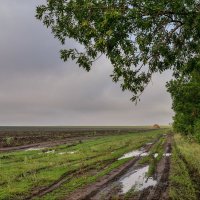 по дороге в осень :: Андрей ЕВСЕЕВ