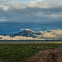 Монгольская степь :: Глеб Часовитин