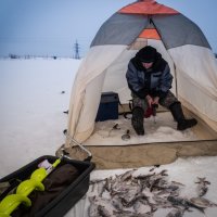 Ловись рыбка БОЛЬШАЯ и маленькая). :: Анатолий Бахтин