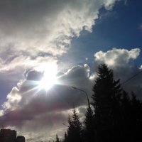 Небо в конце марта. :: Ольга 