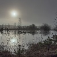 Рассвет в тумане :: Виктор Ковчин