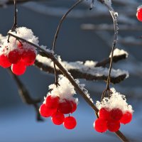 Весенняя зарисовка. :: Анатолий Мартынов