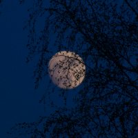 Восход Луны :: Дмитрий Николаев