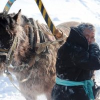 На финише :: Анастасия Рыжикова