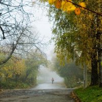 Туманное утро. :: Николай Сидаш