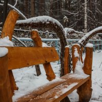 просто наступила зима :: Дмитрий Карышев