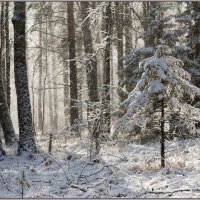 зима :: Андрей Коротнев