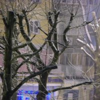 первый снег :: виталий Цицюрский