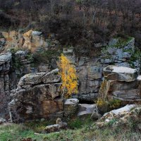 Осеннее :: Александр Скрипник