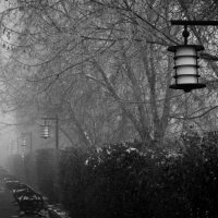 В тумане :: Андрей Зарубин
