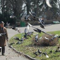 Любовь и голуби ) :: Константин Самоцветов