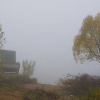 туман над рекой :: сергей ершов