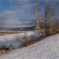 Ноябрь :: Владимир Тюменцев