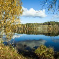 Вуокса осень :: Максим Белышев