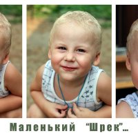 Чудный "Шрек"...  :) :: Детский и семейный фотограф Владимир Кот
