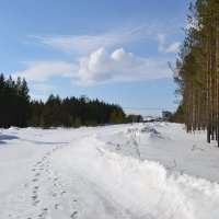 В сургуте :) :: Евгений Пикаревский