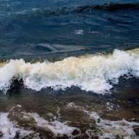 Яркая вода Финского залива :: U. South с Я.ру