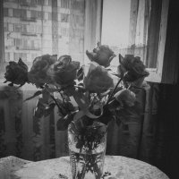 Букет цветов :: Евгения Назарова