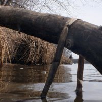 Коллажи , Реставрация фотографий :: Евгений Мергалиев