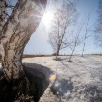 Рождение весны :: Денис Соломахин