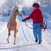 Озорник :: Сергей 