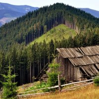 Хата в Карпатах :: Ольга Нарышкова