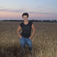 Пшеничное поле :: Инна Белякова