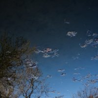 Прогулка по небу :: Лиля Ахвердян