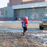 Домой :: Владимир Сплендер