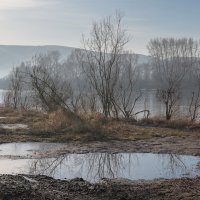 Весеннее ... . :: Евгений Герасименко