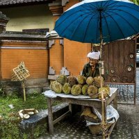 бабушка с дурианами :: Alexander Romanov (Roalan Photos)
