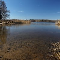 Лазурное безмолвие :: Лариса Кайченкова